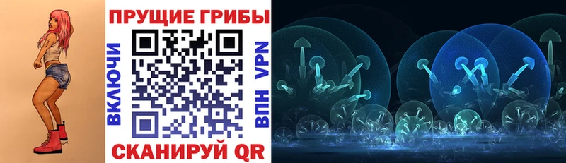 hydra ссылки  Бологое  Галлюциногенные грибы прущие грибы 